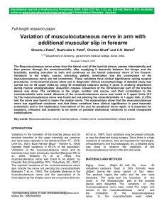 Variation of musculocutaneous nerve in arm with additional