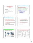 Proteins: 3D-Structure Protein Structure Terminology