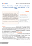 Utilizing Chick Embryo in Ovo Model System to Study the Effects of