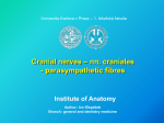 Cranial nerves - Univerzita Karlova