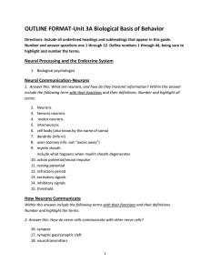 OUTLINE FORMAT-Unit 3A Biological Basis of Behavior Directions