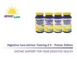 Enzyme Support for Your Digestive Health