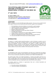 The Hypothalamic pituitary axis part 1