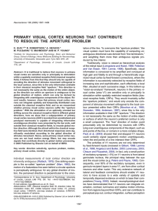 PRIMARY VISUAL CORTEX NEURONS THAT CONTRIBUTE TO