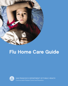 Flu Home Care Guide