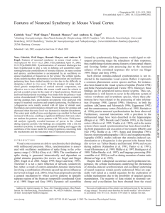 Features of Neuronal Synchrony in Mouse Visual Cortex