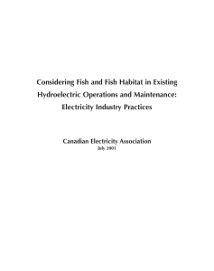 Considering Fish and Fish Habitat in Existing Hydroelectric