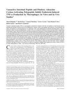 Vasoactive Intestinal Peptide and Pituitary Adenylate Cyclase
