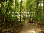 Domains and Kingdoms Taxonomy Notes 2