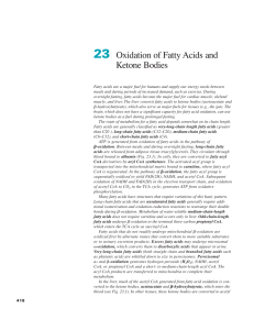 Ch23-Oxidation of Fatty Acids and Ketone Bodies