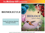 Biomolecule