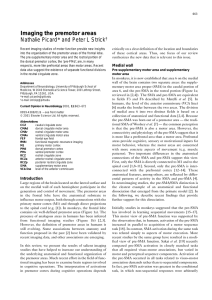 Imaging the premotor areas Nathalie Picard* and Peter L Strick