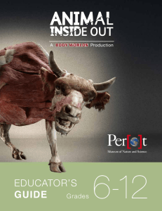 Educator`s Guide - Perot Museum of Nature and Science