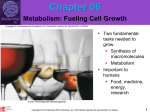 CH06-Metabolism-Fueling Cell Growth