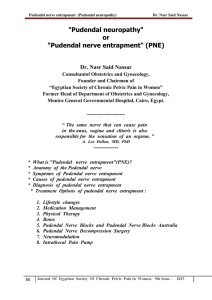 Pudendal nerve entrapment - Egyptian Society Of Chronic Pelvic