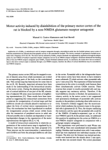 Motor activity induced by disinhibition of the primary motor cortex of