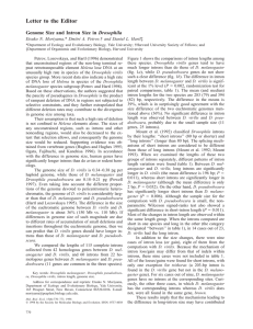 Genome size and intron size in Drosophila