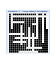Crossword # 2 – Zebrafish Embryo Development