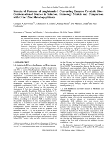 Structural Features of Angiotensin-I Converting Enzyme Catalytic Sites