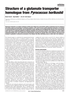 Structure of a glutamate transporter homologue from Pyrococcus