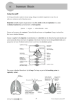 8C - UCC Revision