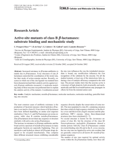 Research Article Active-site mutants of class B b-lactamases