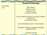 Aging of the Cardiovascular System