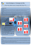 Diapositivo 1 - NEBM - Universidade de Lisboa