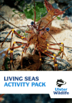 living seas activity pack