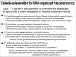 ONR-DNA-nanoelectronics