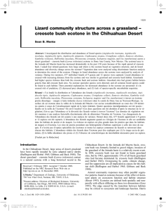 Lizard community structure across a grassland