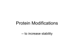 Protein Modifications