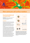 New astrocyte cell surface markers
