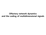 Olfactory network dynamics and the coding of multidimensional