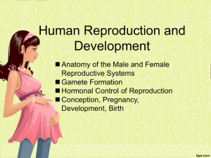 Diapositiva 1 - Holy Family Catholic Regional Division No. 37