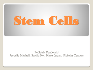 What are Stem Cells? - Science and Today`s Headlines