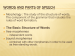 Words and Parts of Speech