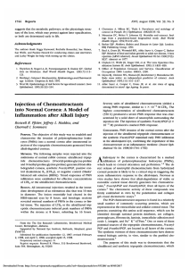Injection of chemoattractants into normal cornea: a model of