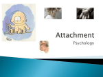 Attachment - nclmoodle.org.uk
