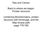 Protein structure combining Bioinformatics, protein structure with