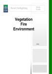 Vegetation Fire Environment Study Guide