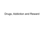 Reward and Drug Addiction