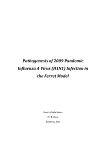 Pathogenesis of 2009 Pandemic Influenza A Virus (H1N1) Infection