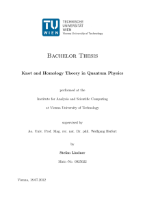 Bachelor Thesis - Institut für Analysis und Scientific Computing