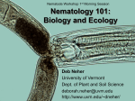 Nematode Biology and Ecology Slides