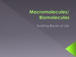 Biomolecules