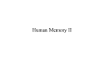 Human Memory II