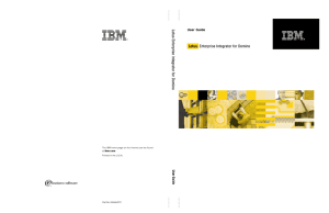 IBM Lotus Enterprise Integrator for Domino (LEI) Activities and User