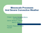 Mesoscale Processes And Severe Convective Weather
