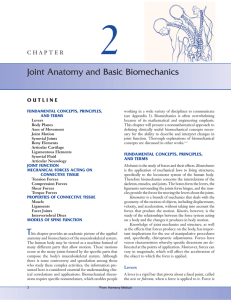 Joint Anatomy and Basic Biomechanics